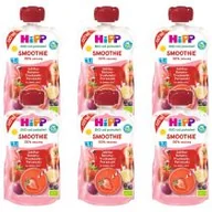 Desery dla dzieci - Hipp Smoothie Mus z owoców i soków po 1. roku jabłka-banany-truskawki-porzeczki zestaw 6 x 120 ml Bio - miniaturka - grafika 1