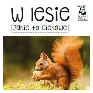 Książeczka Jakie to Ciekawe w Lesie Kapitan Nauka - Książki edukacyjne - miniaturka - grafika 3