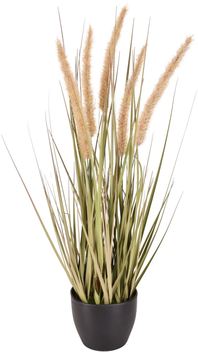 Direct Home and Garden Sztuczna roślina w doniczce z kłosami 50cm