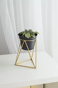 TAJEMNICZY OGRÓD Osłonka na stojaku metalowym śr. 12 cm czarno-złota MODERN - Donice - miniaturka - grafika 1