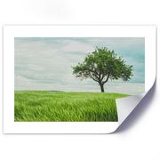 Plakaty - Plakat poster FEEBY, Pejzaż Zielone Drzewo 60x40 - miniaturka - grafika 1
