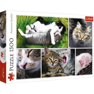 Trefl Puzzle Kocie sprawy kolaż 1500 - Puzzle - miniaturka - grafika 1