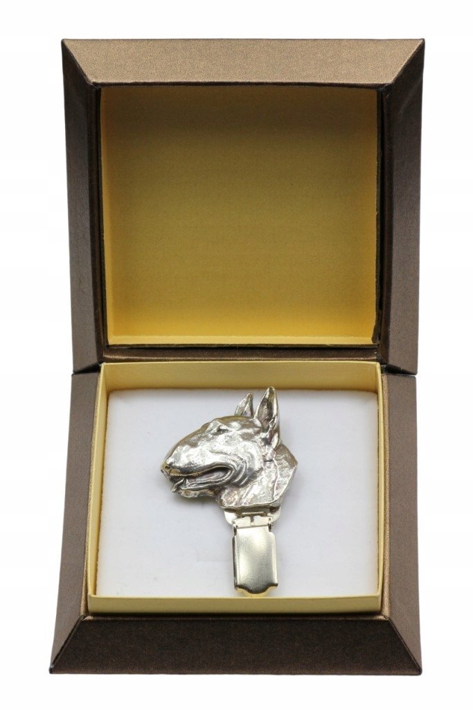 Bulterier broszka z klipsem w pudełku wystawa psów