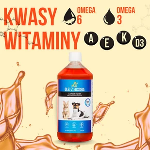 LAB V Olej z łososia dla psów i kotów 2x500ml - Suplementy i witaminy dla psów - miniaturka - grafika 5
