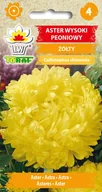 Nasiona i cebule - Aster wysoki peoniowy żółty nasiona 1g Toraf - miniaturka - grafika 1