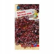 Nasiona i cebule - Sałata Red Salad Bowl nasiona 2g / O / - miniaturka - grafika 1
