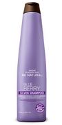 Szampony do włosów - Placenta Life Blueberry Silver, szampon oczyszczający neutralizujący żółte refleksy, 350ml - miniaturka - grafika 1