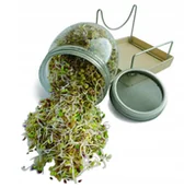 Pojemniki kuchenne - GEO Geo TZZ0865 zestaw z kloszem do uprawy kiełków, kolor: brązowy. TZZ0865 - miniaturka - grafika 1