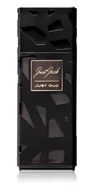 Wody i perfumy męskie - Just Jack Oud Oak For Men Edp 100ml - miniaturka - grafika 1