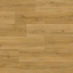 Alpha Vinyl Avmpu40238 Dąb Wędzony Botaniczny Z Podkładem - Panele podłogowe - miniaturka - grafika 1