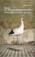 E-booki - nauka - Polska dla średnio zaawansowanych. Współczesna polskość codzienna - miniaturka - grafika 1