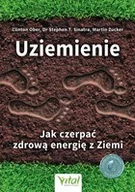 Rozwój osobisty - Jak czerpać zdrową energię z Ziemi - miniaturka - grafika 1