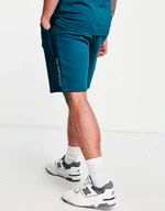 Spodenki męskie - SPODENKI MĘSKIE THE NORTH FACE BAWEŁNA DRESOWE SZORTY NIEBIESKIE ROZMIAR XL - miniaturka - grafika 1