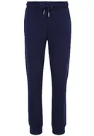 Spodenki męskie - FILA Męskie spodnie dresowe BRAIVES Sweat w czasie wolnym, niebieskie (Medieval Blue), 2XL, Medieval Blue, XXL - miniaturka - grafika 1