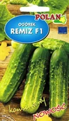 Nasiona i cebule - Ogórek gruntowy Remiz 3 g POLAN - miniaturka - grafika 1
