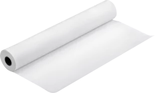 Epson Papier Presentation Paper HiRes 120, 610mm x 30m 150g/m2 C13S045287 - Papier do drukarek - miniaturka - grafika 1