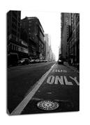 Obrazy i zdjęcia na płótnie - Nowy Jork. New York, only - obraz na płótnie Wymiar do wyboru: 70x100 cm - miniaturka - grafika 1