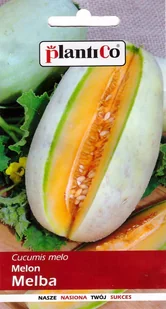 Melon Melba wczesny, plenny nasiona 1g PlantiCo - Nasiona i cebule - miniaturka - grafika 1