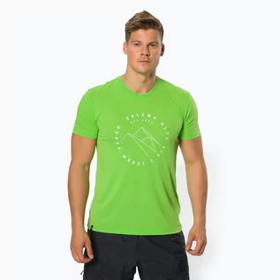 Koszulki sportowe męskie - Salewa Koszulka trekkingowa męska Alta Via Dry 5649 zielona 27406 - grafika 1