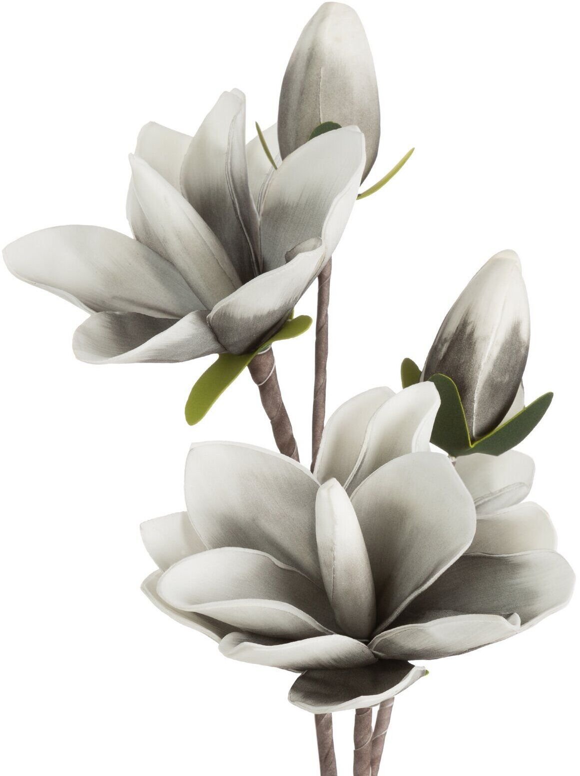Eurofirany Kwiat sztuczny gałązka magnolii FLORE 59 cm popielaty x6