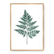 Plakaty - Dekoria Dekoria Plakat Fern Emerald Green 21 x 30 cm Ramka Złota 218A-000-00 - miniaturka - grafika 1