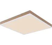 Lampy sufitowe - Globo 416080WWD2-CCT - LED Ściemn. sufitowy DORO LED/24W/230V 2700-6500K + pilot - miniaturka - grafika 1