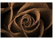 Fototapety - Oobrazy Fototapeta, Brązowa róża, 8 elementów, 368x248 cm - miniaturka - grafika 1