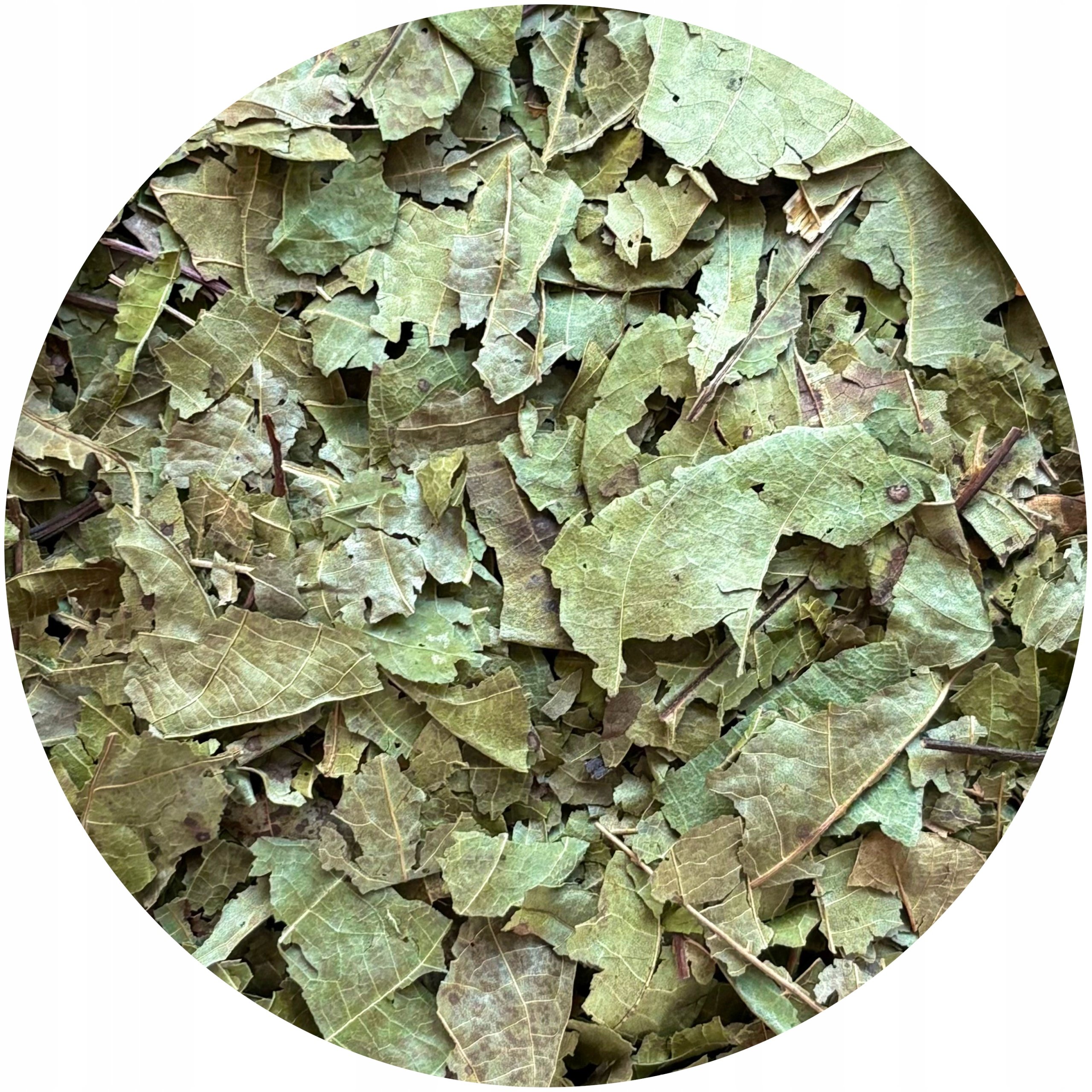 Liść grubo cięty orzecha włoskiego Mystic.Garden certyfikowany 1 kg