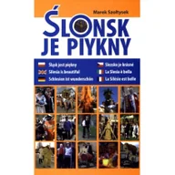 Książki regionalne - lonsk je piykny - miniaturka - grafika 1