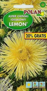Aster igiełkowy Lemon 1.2 g POLAN - Nasiona i cebule - miniaturka - grafika 1