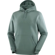 Bluzy sportowe męskie - BLUZA MĘSK SALOMON BIG LOGO M C25253 - miniaturka - grafika 1