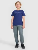 Spodnie i spodenki dla chłopców - 4F Spodnie dresowe joggery chłopięce - turkusowe 122 (6-7 lat) - miniaturka - grafika 1