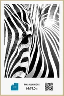 Ramki na zdjęcia - Nice Wall Rama aluminiowa 61x91,5 cm ALUCZ61X91,5 - miniaturka - grafika 1