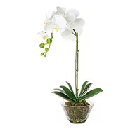 Sztuczne kwiaty - EUROCINSA Ref.46720C01 PHALAENOPSIS, pudełko z 1 sztuką, tworzywo sztuczne, szkło, białe, 30 x 54 cm - miniaturka - grafika 1