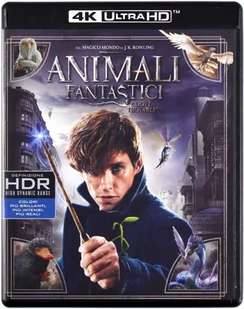 Fantastic Beasts And Where To Find Them (fantastyc - Fantasy Blu-Ray - miniaturka - grafika 1