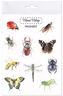 Magnesy Owady - Mama Maluje - Magnesy - miniaturka - grafika 1