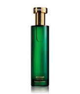 Wody i perfumy męskie - HERMETICA Emerald Stairways Collection Spiceair Woda perfumowana 100 ml - miniaturka - grafika 1
