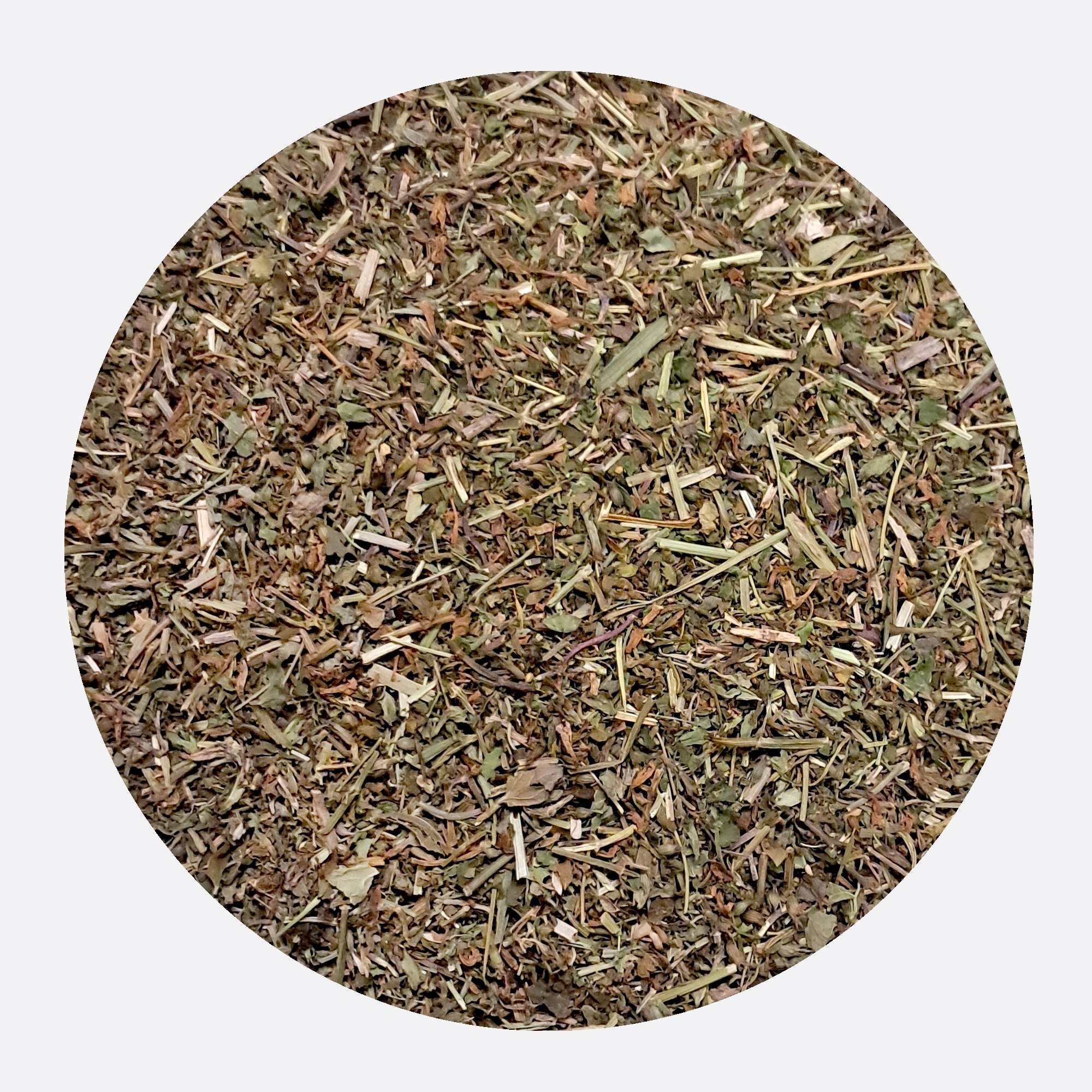 Bluszczyk kurdybanek Ziele cięte susz Glechoma hederacea Mystic.Garden 50 g