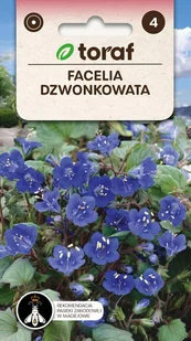 Facelia dzwonkowata nasiona 0,5g / T / - Nasiona i cebule - miniaturka - grafika 1