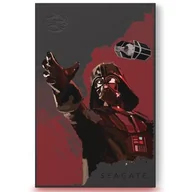 Dyski HDD - Dysk SEAGATE FireCuda Star Wars Darth Vader SE 2TB HDD - miniaturka - grafika 1