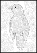 Kolorowanki, wyklejanki - Kolorowanka ptak na gałęzi - miniaturka - grafika 1