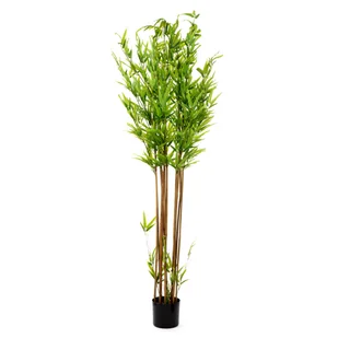 Roślina sztuczna TROPICAL ZONE bambus 180 cm HOMLA - Sztuczne kwiaty - miniaturka - grafika 1