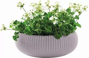 Keter Doniczka Cozies L 227702 - Donice - miniaturka - grafika 1