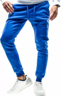 Spodnie męskie dresowe niebieskie Recea - Spodnie sportowe męskie - miniaturka - grafika 1