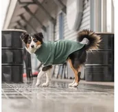 Ubranka dla psów - Trixie CityStyle Amsterdam sweatshirt, M: 50 cm, dark green - miniaturka - grafika 1