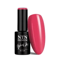 Lakiery hybrydowe - Lakier hybrydowy NTN Premium Limited Edition 5g Nr 341 - miniaturka - grafika 1