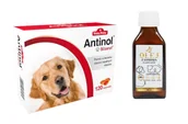 Suplementy i witaminy dla psów - BIOVICO ANTINOL SIZAROL PIES 120 tabletek NA STAWY + Lab-V Olej z Łososia 100% Dla Psa i Kota w Każdym Wieku 100ml Tłoczony Na Zimno GRATIS !!! - miniaturka - grafika 1