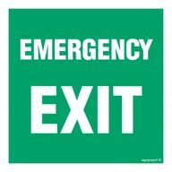 Systemy ekspozycyjne i znaki informacyjne - AC063 EMERGENCY EXIT, TS - PŁYTA TD FOTOLUMINESCENCYJNA; (150X150MM) - miniaturka - grafika 1