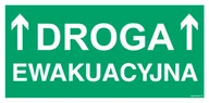 Systemy ekspozycyjne i znaki informacyjne - AC051 DROGA EWAKUACYJNA, KS - FOLIA PODŁOGOWA FOTOLUMINESCENCYJNA; (800X400MM) - miniaturka - grafika 1