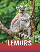 Pozostałe książki - Lemurs - miniaturka - grafika 1